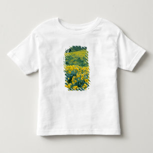 Camiseta De Bebé UTAH. EE. UU. Balsamorhiza