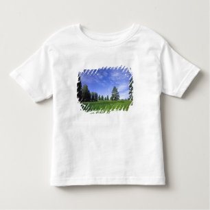 Camiseta De Bebé UTAH. EE.UU. Pinos Ponderosa Pinuosa) y