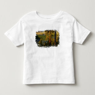 Camiseta De Bebé UTAH. Pinos ponderosa y álamo temblón, otoño. Aman