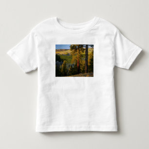 Camiseta De Bebé UTAH. Pinos y álamos Ponderosa, otoño. Amanecer,