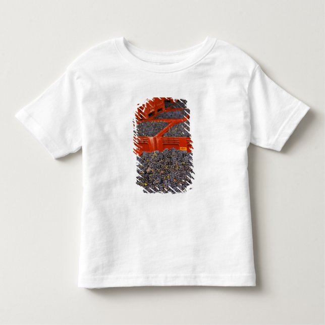 Camiseta De Bebé Uvas Gamay justo en la cosecha en (Anverso)