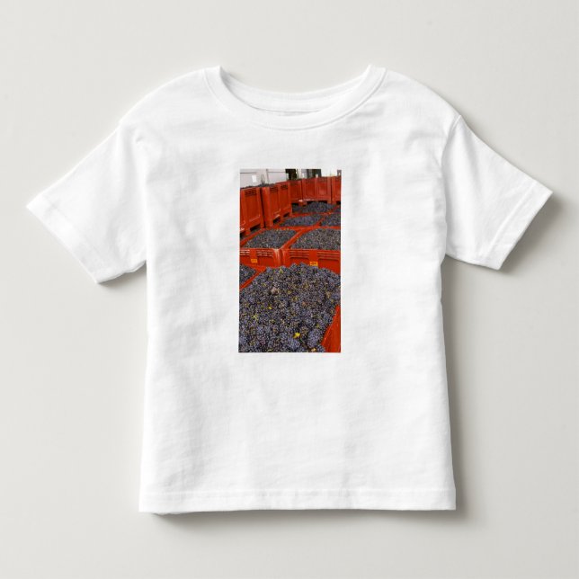 Camiseta De Bebé Uvas Gamay recién llegadas de la cosecha en la (Anverso)