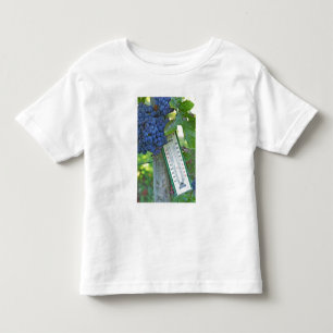 Camiseta De Bebé Uvas Merlot en Chateau la Grave Figeac, una