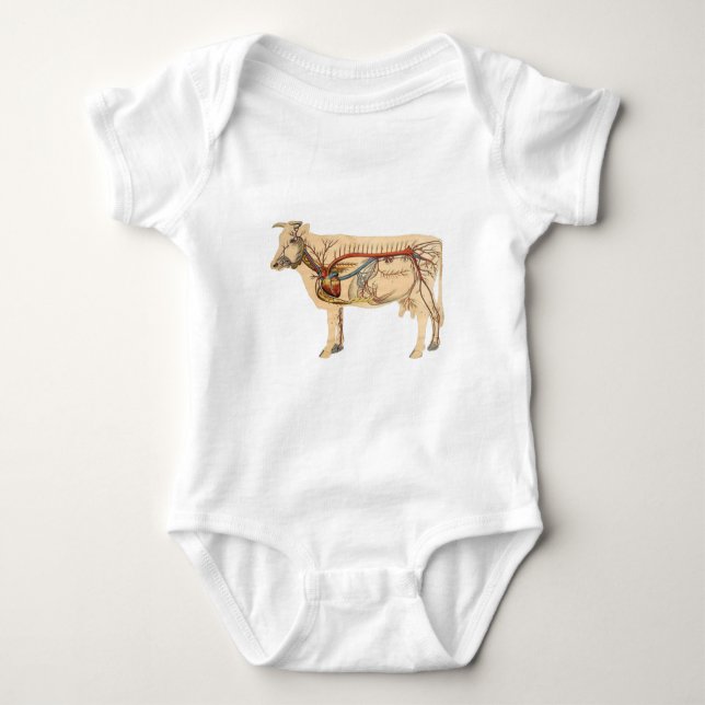 Camiseta De Bebé Vaca anatómica (Anverso)