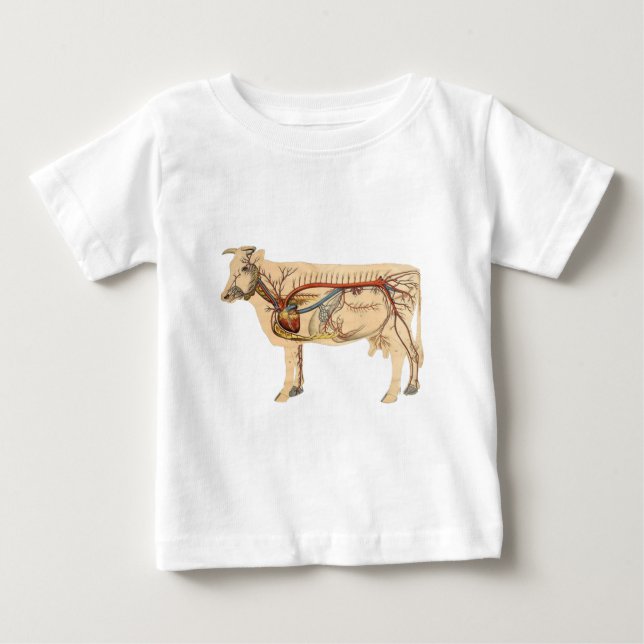 Camiseta De Bebé Vaca anatómica (Anverso)