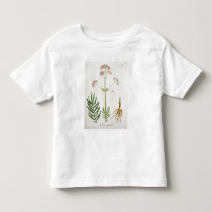 Camiseta De Bebé Valeriana de "Phytographie Medicale" por el Ro de