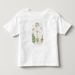 Camiseta De Bebé Valeriana de "Phytographie Medicale" por el Ro de