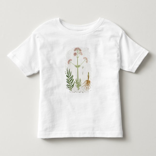 Camiseta De Bebé Valeriana de "Phytographie Medicale" por el Ro de (Anverso)