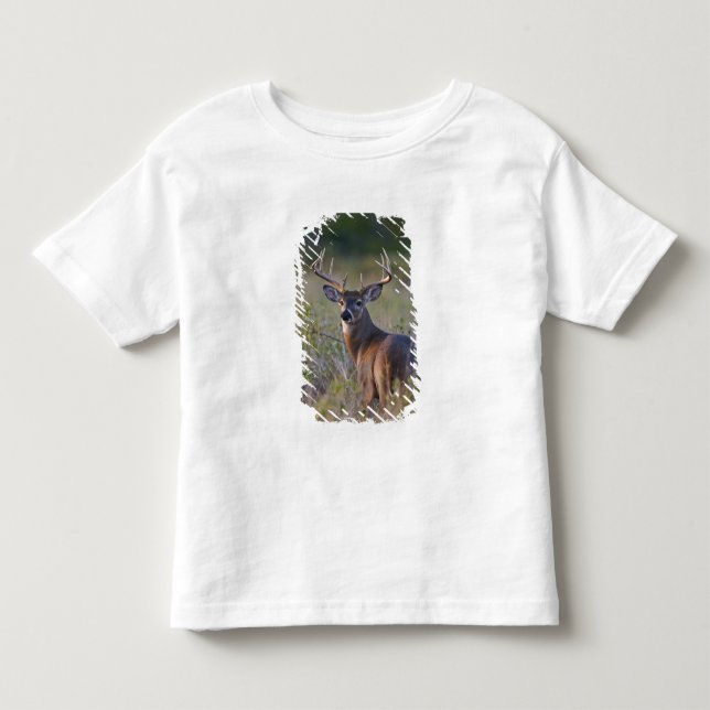 Camiseta De Bebé venado de cola blanca Odocoileus virginianus (Anverso)