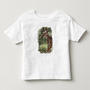 Camiseta De Bebé Venado de cola blanca, Odocoileus virginianus