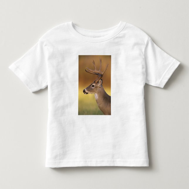 Camiseta De Bebé Venado de cola blanca, Odocoileus virginianus, (Anverso)