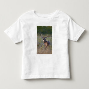 Camiseta De Bebé venado de cola blanca Odocoileus virginianus