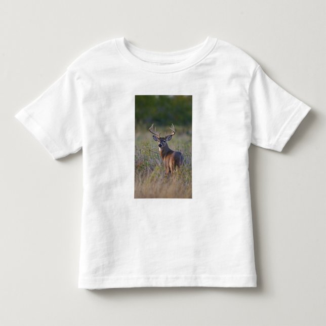 Camiseta De Bebé venado de cola blanca Odocoileus virginianus (Anverso)
