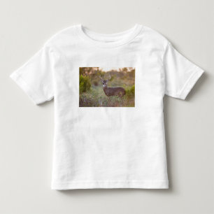 Camiseta De Bebé venado de cola blanca (Odocoileus virginianus) mac