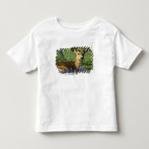 Camiseta De Bebé Venado de cola negra, Odocoileus hemionus