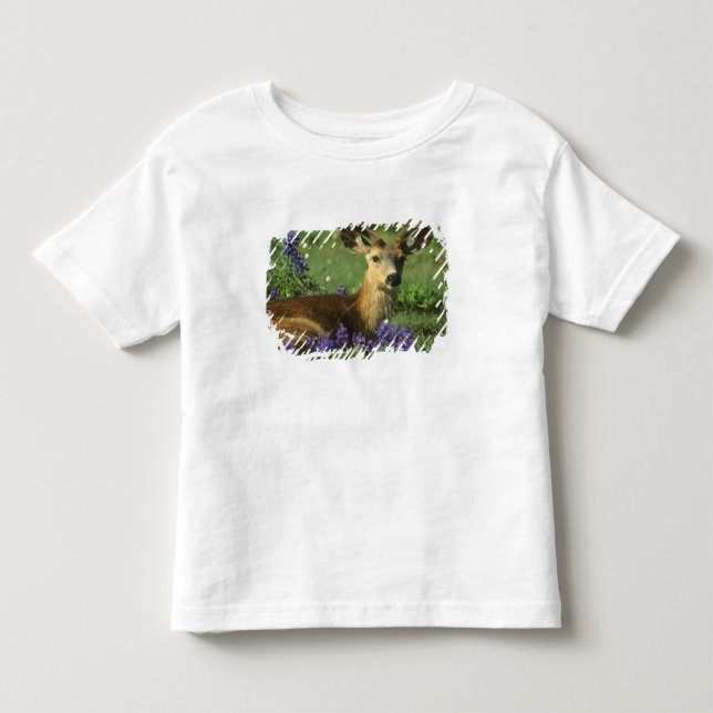 Camiseta De Bebé Venado de cola negra, Odocoileus hemionus (Anverso)