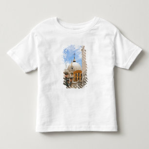 Camiseta De Bebé Venecia, Veneto, Italia - Pájaros posados en un