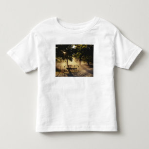 Camiseta De Bebé Vermont, Northeast Kingdom, Luz del sol cayendo