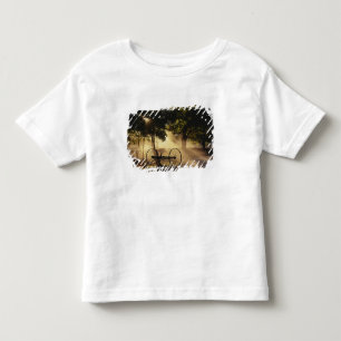 Camiseta De Bebé Vermont, Northeast Kingdom, Luz del sol cayendo
