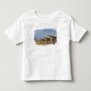 Camiseta De Bebé Very Large Array aka Astronomía Nacional Radiofóni