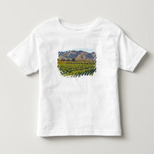 Camiseta De Bebé vides de Cabernet Sauvignon en Huailai Rongchen 2