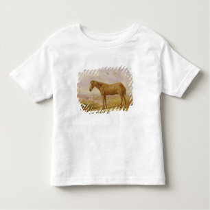 Camiseta De Bebé Viejo Billy, un caballo de proyecto, envejecido 62