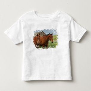 Camiseta De Bebé Viendo caballos en un campo del Palouse 3