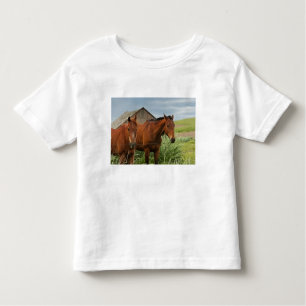 Camiseta De Bebé Viendo caballos en un campo del Palouse 3