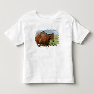 Camiseta De Bebé Viendo caballos en un campo en el Palouse 3