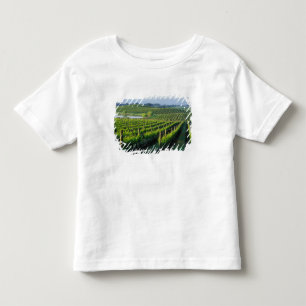 Camiseta De Bebé Viñas en hileras ordenadas en Napa, California