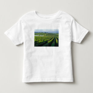 Camiseta De Bebé Viñas en hileras ordenadas en Napa, California