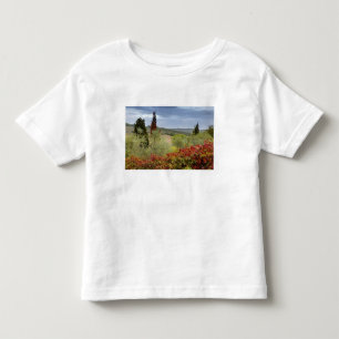 Camiseta De Bebé Viñedo cerca de Montalcino, Toscana, Italia