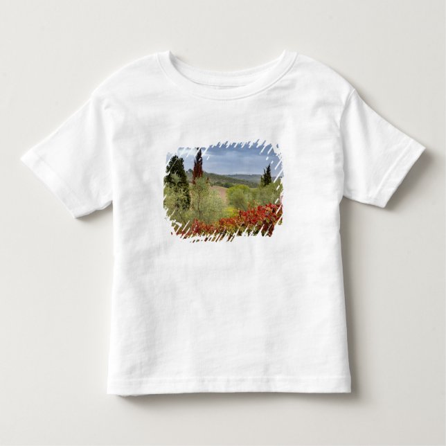 Camiseta De Bebé Viñedo cerca de Montalcino, Toscana, Italia (Anverso)