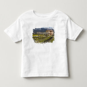 Camiseta De Bebé Viñedo inactivo, flor de fruta, casa de piedra,