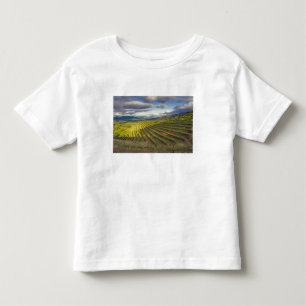 Camiseta De Bebé Viñedo. Napa Valley. Napa. Condado de Napa,