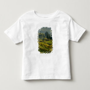 Camiseta De Bebé Viñedo, Toscana, Italia