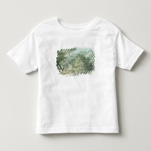 Camiseta De Bebé Visión cerca de Fordlands, Exeter (Anverso)