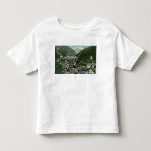Camiseta De Bebé Vista aérea de la ciudad y del MountainsBurke,