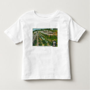 Camiseta De Bebé Vista aérea de la granja experimental de Burbanks
