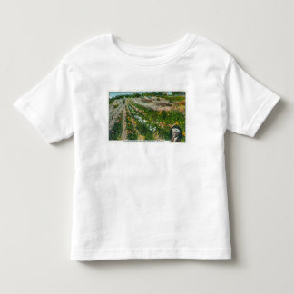 Camiseta De Bebé Vista aérea de la granja experimental de Burbanks