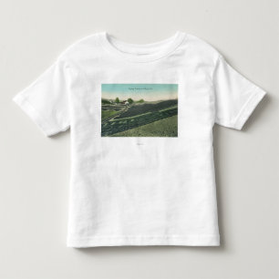 Camiseta De Bebé Vista aérea de las pasas que se secan en el Sun