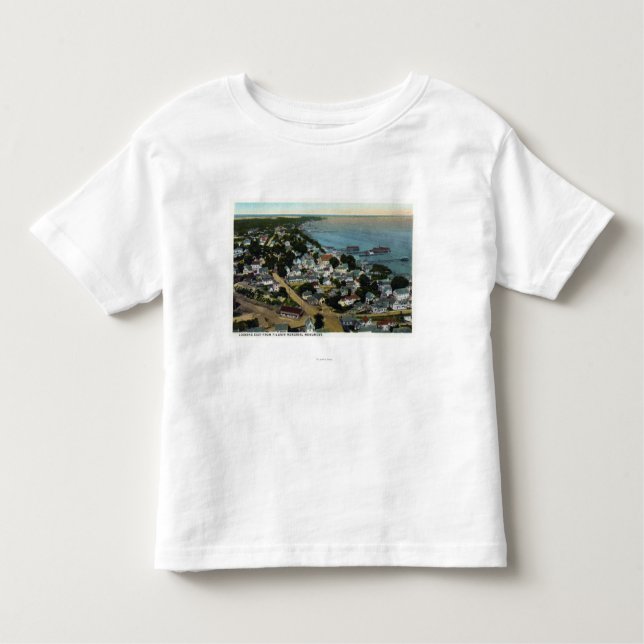Camiseta De Bebé Vista aérea del este de la ciudad del peregrino (Anverso)