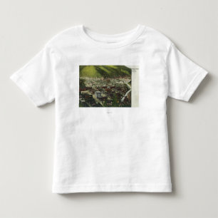 Camiseta De Bebé Vista aérea del noroeste de TownWallace,