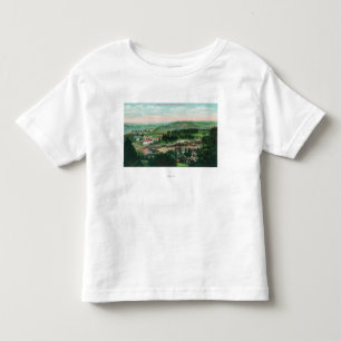 Camiseta De Bebé Vista aérea del TownColfax, CA