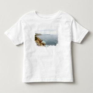 Camiseta De Bebé Vista costera del parque nacional del Acadia