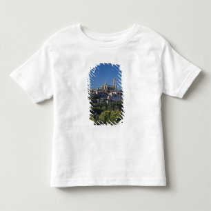 Camiseta De Bebé Vista de ciudad elevada con la catedral de Segovia