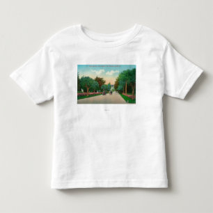 Camiseta De Bebé Vista de la avenida de la palma en las alturas de