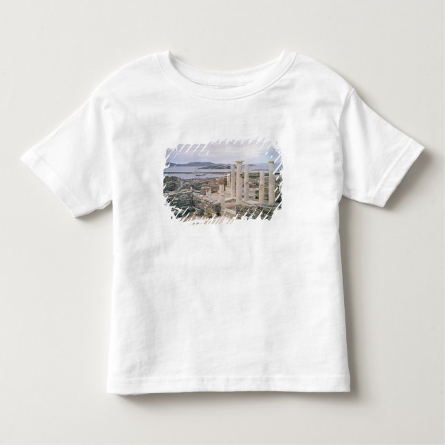 Camiseta De Bebé Vista de la casa de Cleopatra (Anverso)
