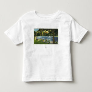 Camiseta De Bebé Vista de la charca común de la rana de Boston
