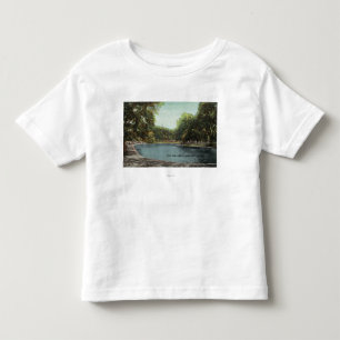 Camiseta De Bebé Vista de la charca común de la rana de Boston # 2
